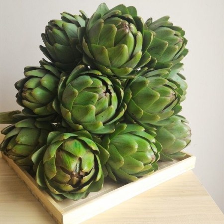 coirung.com