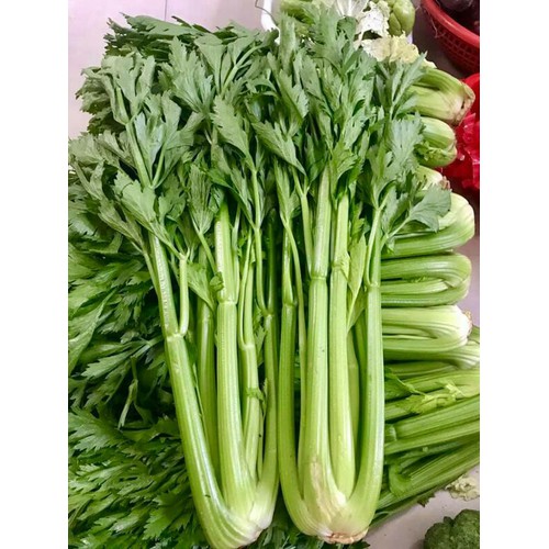 coirung.com