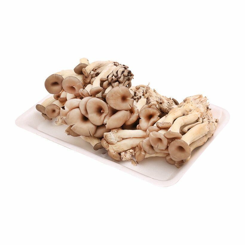 coirung.com