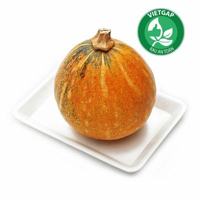 Củ quả 7