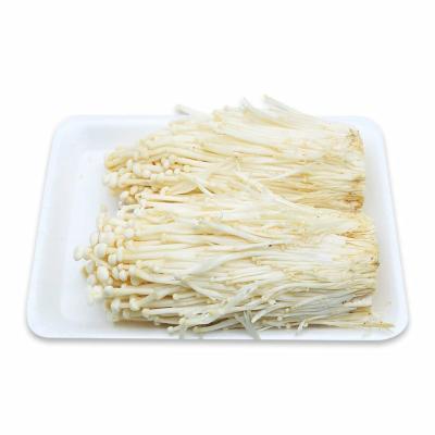 Nấm 4