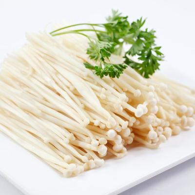 Nấm 3