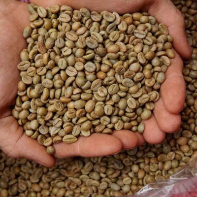 dịch vụ cung cấp nhân xanh cà phê , cà phê hạt rang giá sỉ, cà phê bột toàn quốc và quốc tế.